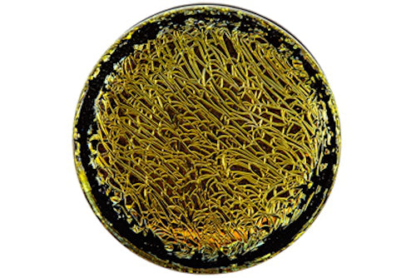 Foil Plugs - Image 5