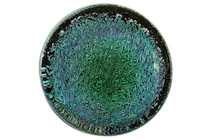 Foil Plugs - Image 6
