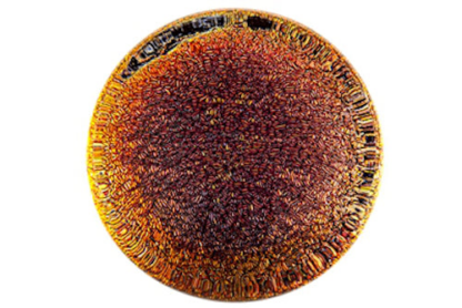 Foil Plugs - Image 7