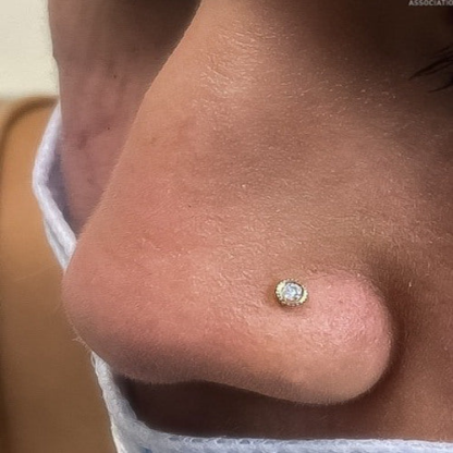 Piercing Appointment With Celia - Image 4