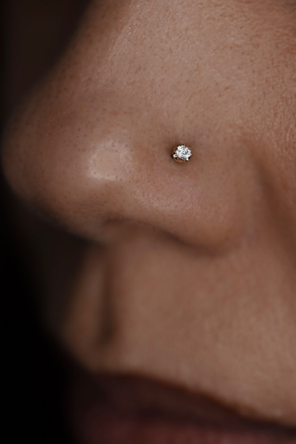 Piercing Appointment With Anastasiia Petrakova - Image 14