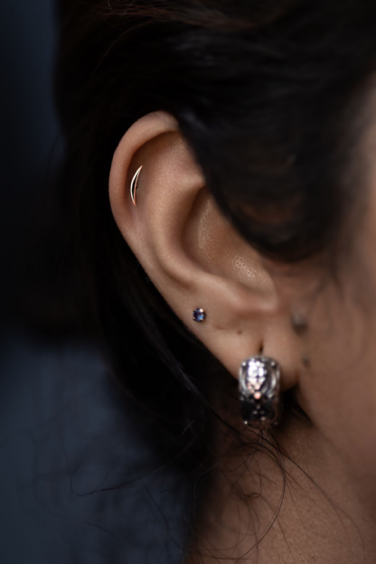 Piercing Appointment With Anastasiia Petrakova - Image 26